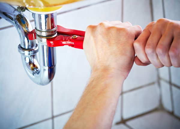 About Venus Plumbers